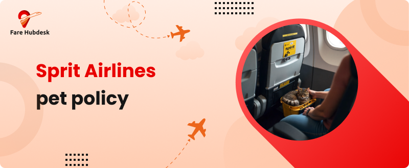 spirit airlines pet policy